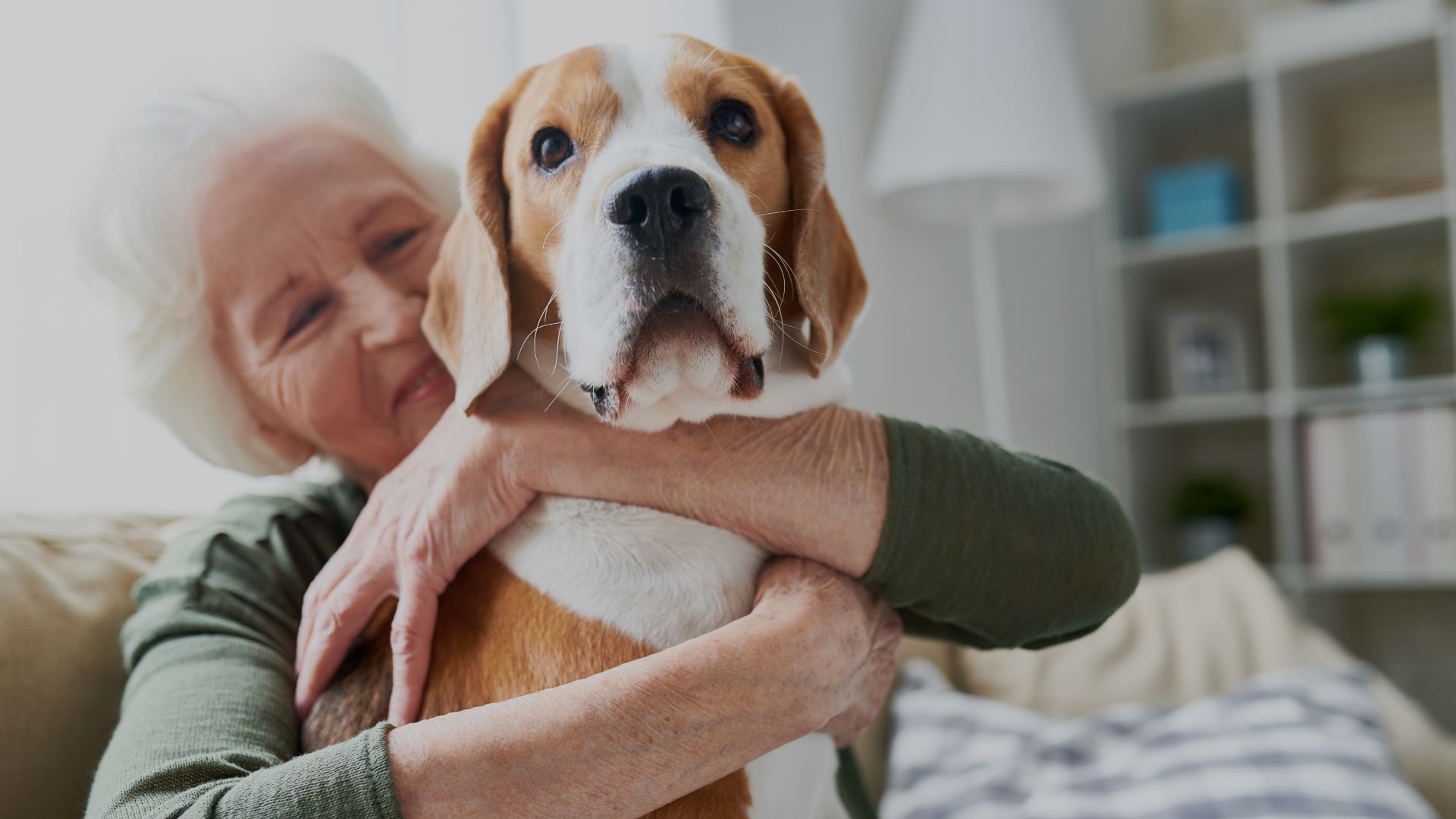 How to Find the Perfect Senior Apartment for You and Your Furry Friend