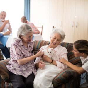 happy seniors petting a cat